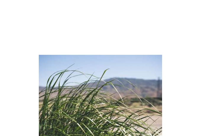 be your scent developer for bespoke fragrance formulation
